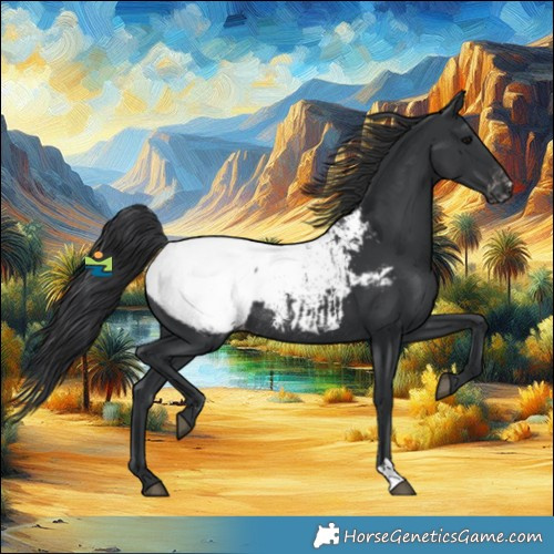Horse Color:Black Snowcap Rabicano 