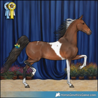 Horse Color:Bay Tobiano Rabicano