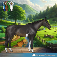 Horse Color:Buckskin Tobiano 