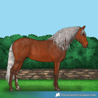 Horse Color:Silver Bay