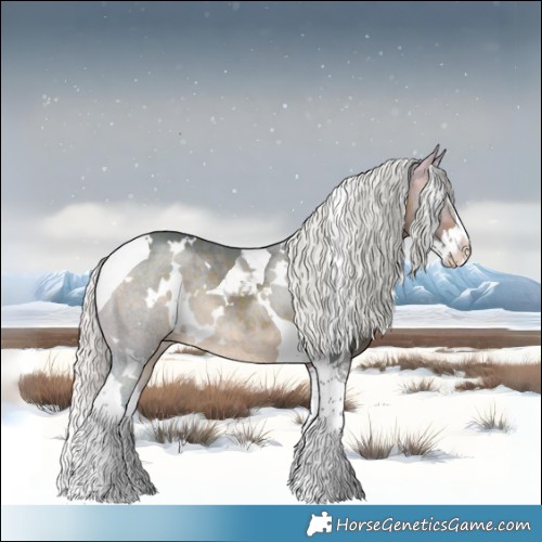 Horse Color:Watercolor White Spotted Silver Brown Splash Tobiano