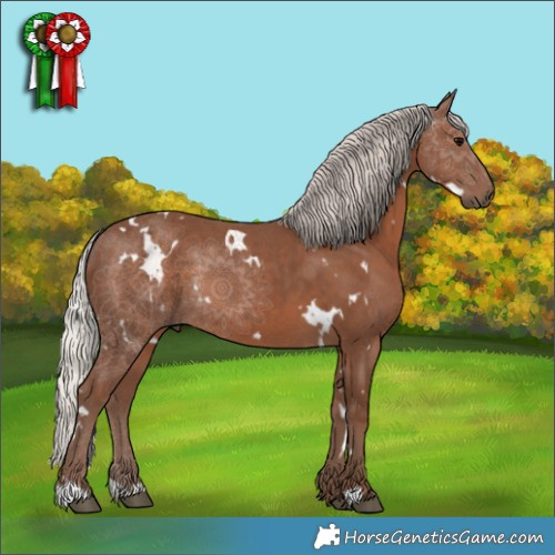 Horse Color:White Spotted Silver Black