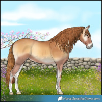 Horse Color:Red Onyx 