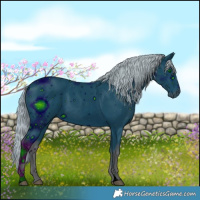 Horse Color:ERROR: UNKNOWN ANOMALY
