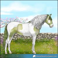Horse Color:Watercolor Red Onyx Tobiano