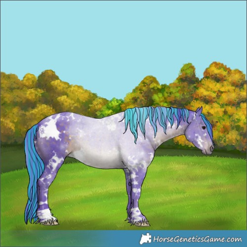 Horse Color:Painted Watercolor White Spotted Brown 