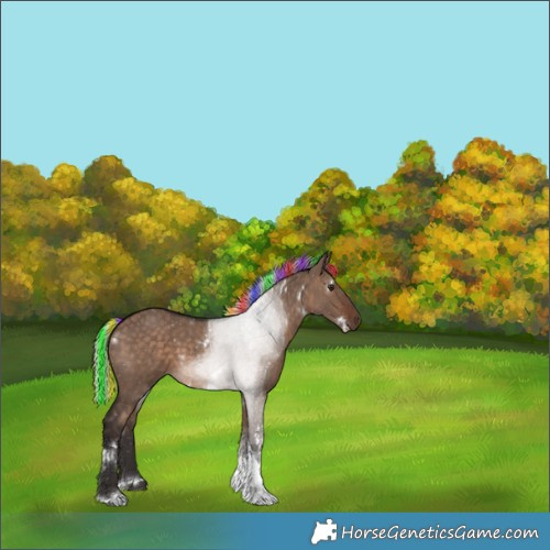 Horse Color:Painted White Spotted Silver Brown Dun Tobiano 