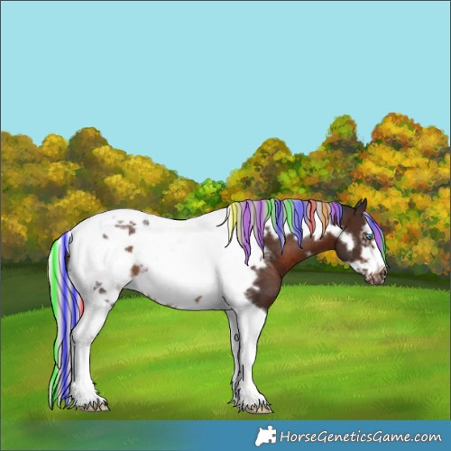 Horse Color:Painted Silver Bay Sabino Tobiano Frame Rabicano