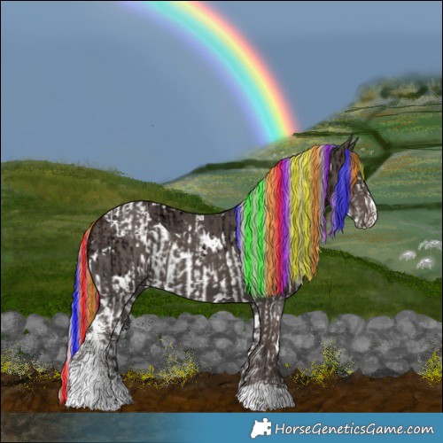Horse Color:Painted White Spotted Silver Brown Ice Sabino Splash Rabicano  and White Spotted Silver Black Sabino 