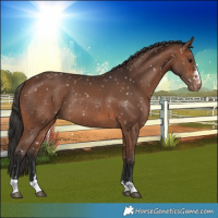 Horse Color:Brown Snowflake Varnish Rabicano 