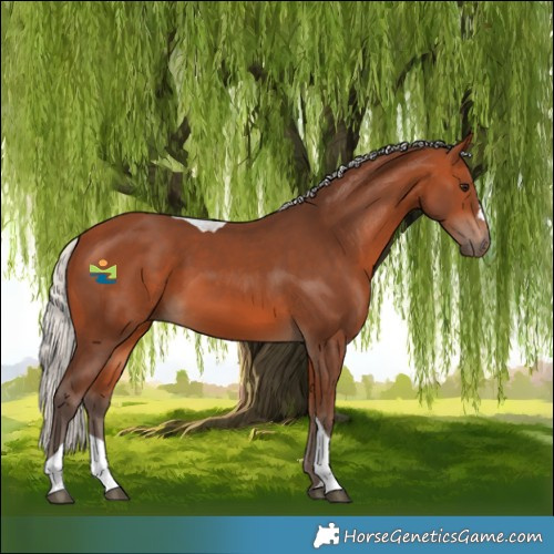 Horse Color:Silver Bay Tobiano 