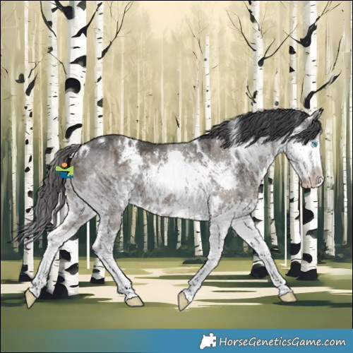 Horse Color:White Spotted Grullo Splash Brindle 