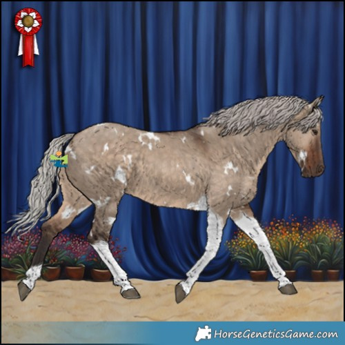 Horse Color:White Spotted Silver Brown Dun Tobiano