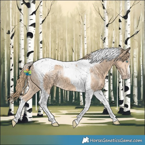 Horse Color:Perlino Tobiano 