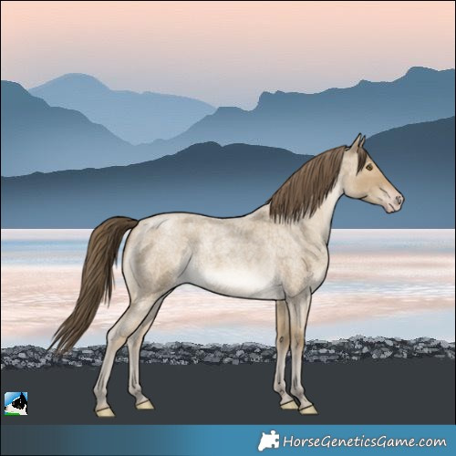 Horse Color:Classic Cream Champagne Roan