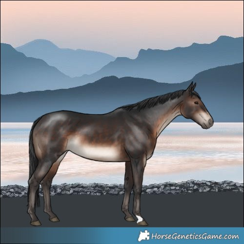 Horse Color:Brown Mushroom