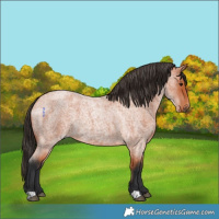 Horse Color:Bay Roan