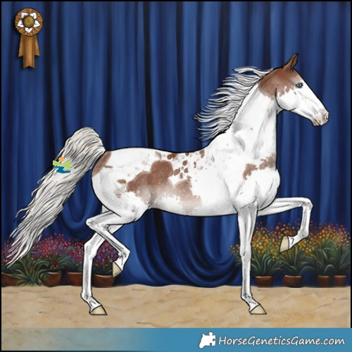 Horse Color:Silver Black Splash Tobiano Rabicano 