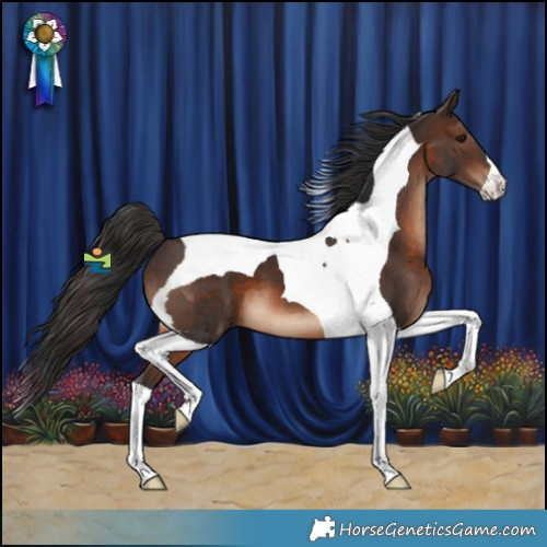Horse Color:Brown Tobiano 
