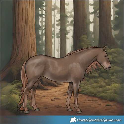 Horse Color:Liver Red Dun 