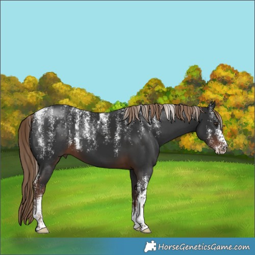 Horse Color:Powder White Liver Chestnut 