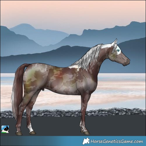 Horse Color:Powder White Chocolate Brown Merle Rabicano 