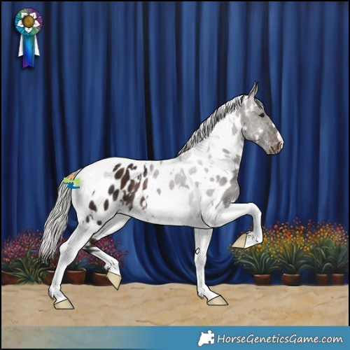 Horse Color:White Spotted Silver Brown Tobiano Appaloosa 
