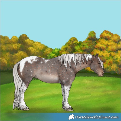 Horse Color:Silver Bay Tobiano Varnish