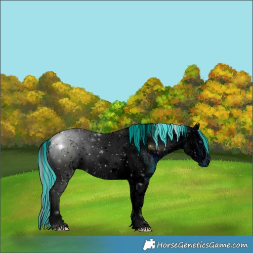 Horse Color:ERROR: UNKNOWN ANOMALY