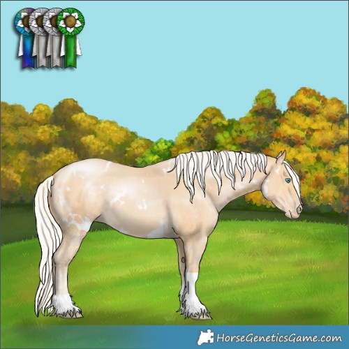 Horse Color:White Spotted Silver Buckskin Pearl Tobiano