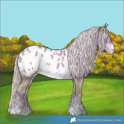 Horse Color:Watercolor Chocolate Palomino Dun Appaloosa