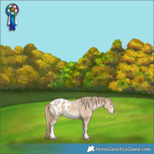 Horse Color:Powder White Smoky Creme Appaloosa 