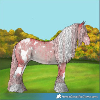 Horse Color:Watercolor White Spotted Chocolate Palomino Ice Dun Varnish Brindle 
