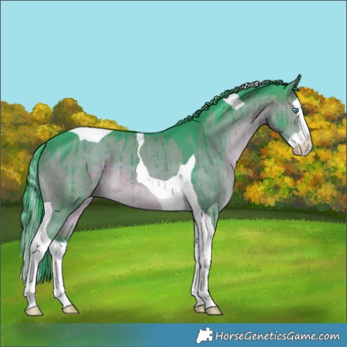 Horse Color:Watercolor Brown Dun Splash Tobiano Rabicano Brindle