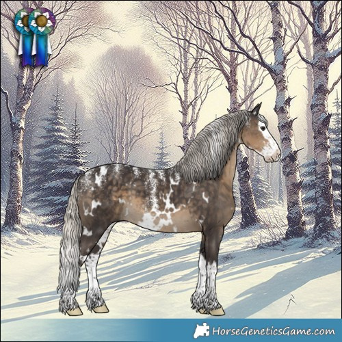 Horse Color:Powder White White Spotted Silver Smoky Black Splash