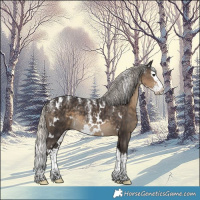 Horse Color:Powder White White Spotted Silver Smoky Black Splash