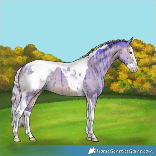 Horse Color:Watercolor Silver Brown Dun Splash Tobiano Appaloosa Brindle