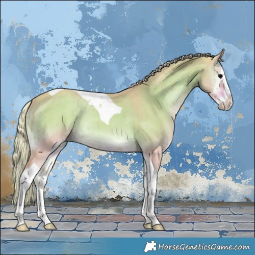 Horse Color:Watercolor Silver Grullo Onyx Splash Tobiano Rabicano Brindle
