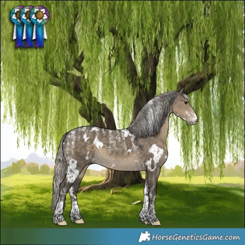 Horse Color:Powder White White Spotted Silver Smoky Grullo