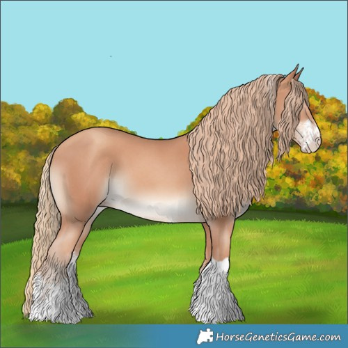 Horse Color:Gold Champagne Sabino Tobiano