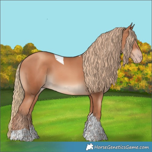 Horse Color:Gold Champagne Sabino Tobiano