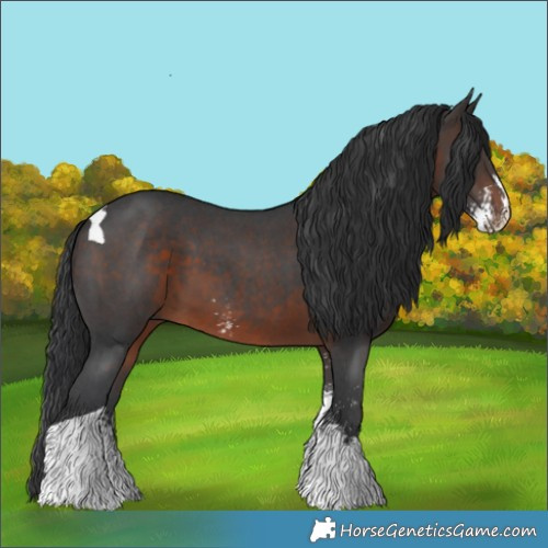Horse Color:Brown Sabino Tobiano