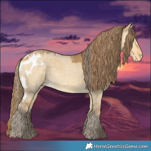 Horse Color:Amber Cream Champagne Dun Merle Skewed Appaloosa