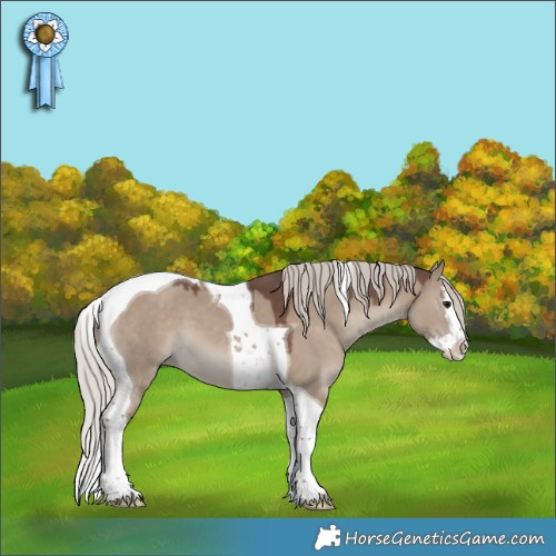 Horse Color:Silver Grullo Splash Tobiano 