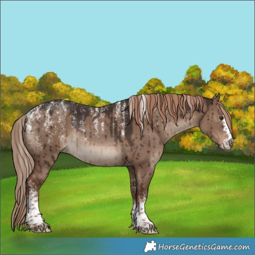 Horse Color:Powder White Liver Red Dun Rabicano Brindle 