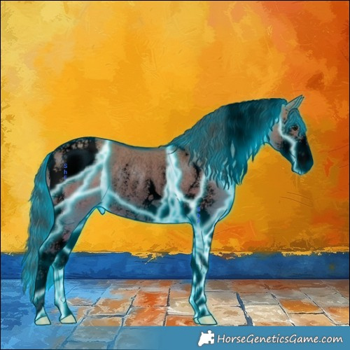 Horse Color:Void Thunderstruck Grullo Sabino Tobiano Rabicano 