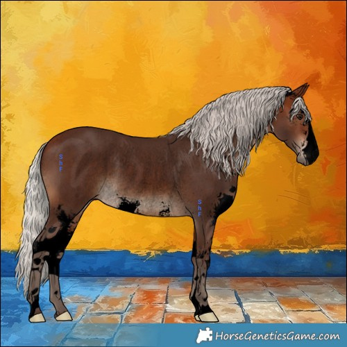 Horse Color:Void Silver Brown Sabino Rabicano 