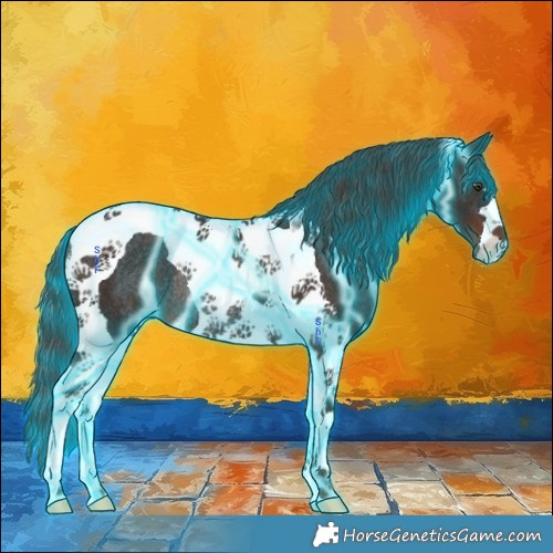 Horse Color:Thunderstruck Liver Chestnut Tobiano Rabicano 