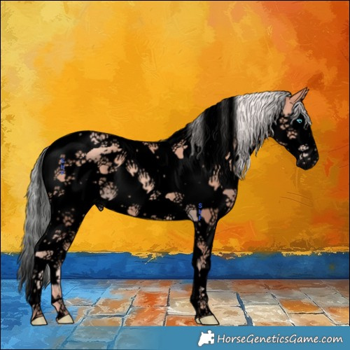 Horse Color:Void Silver Amber Champagne Splash Tobiano 