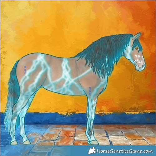 Horse Color:Thunderstruck Amber Champagne Sabino Splash Rabicano